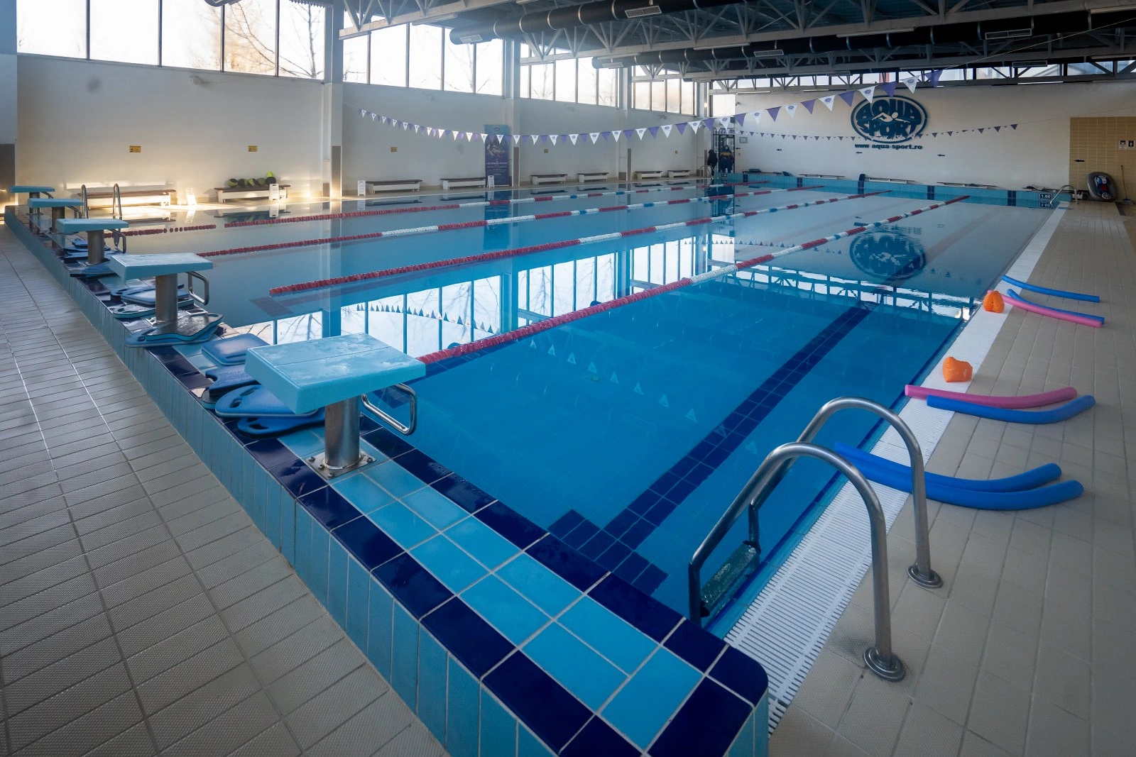 bazin-inot-dante-alighieri-1.webp (369 KB)